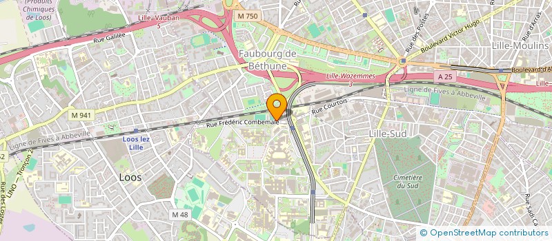localisation de l'entreprise MONSIEUR PRINCE NZIENGUI MANDOUKOU à LILLE