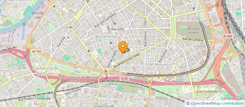 localisation de l'entreprise MONSIEUR QASEEM ADRIMZAI  LILLE