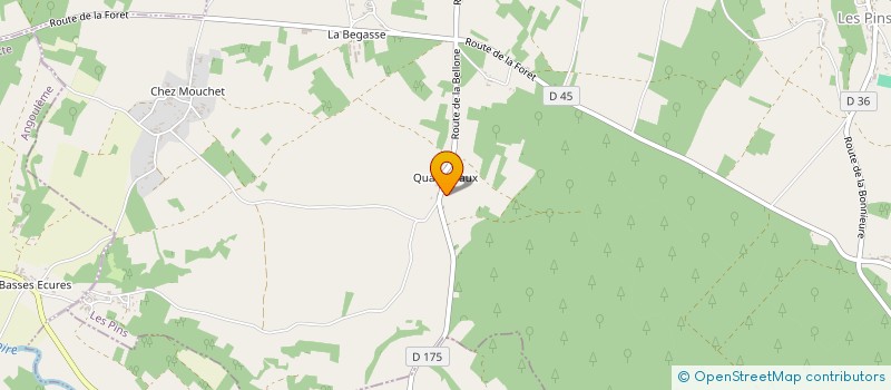 localisation de l'entreprise MONSIEUR QUENTIN BAUCHET à LES PINS