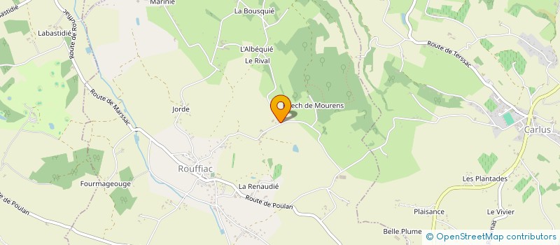 localisation de l'entreprise MONSIEUR QUENTIN BONNAFOUS  ROUFFIAC