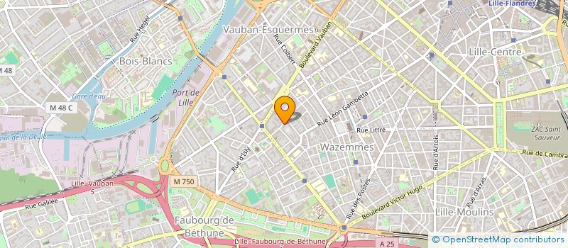 localisation de l'entreprise MONSIEUR QUENTIN BOUVIER à LILLE