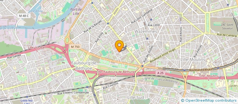 localisation de l'entreprise MONSIEUR QUENTIN LETEURTRE  LILLE