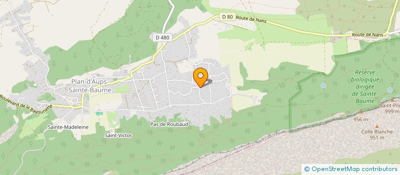 localisation de l'entreprise MONSIEUR QUENTIN TROCME  PLAN-D'AUPS-SAINTE-BAUME