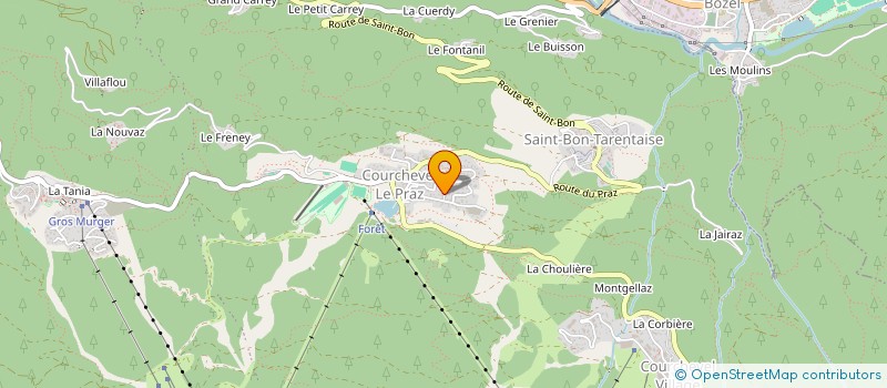 localisation de l'entreprise MONSIEUR RAAB DYKSTRA-MCCARTHY à COURCHEVEL