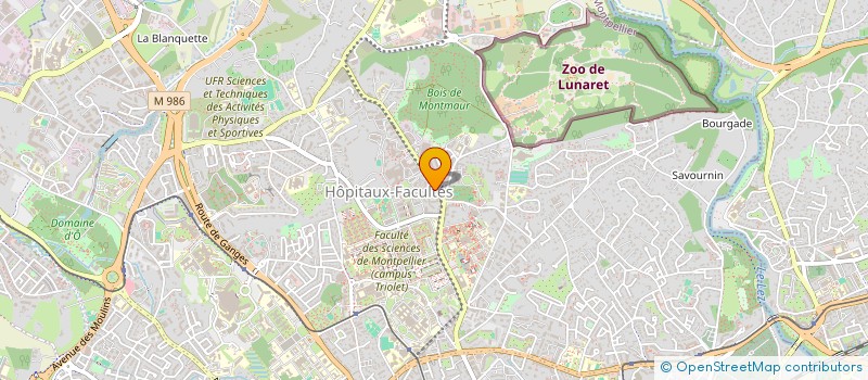 localisation de l'entreprise MONSIEUR RABAH AYOUAZ à MONTPELLIER