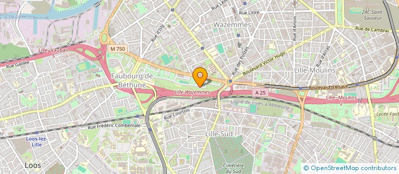localisation de l'entreprise MONSIEUR RACHID EL MAGHNOUJI à LILLE
