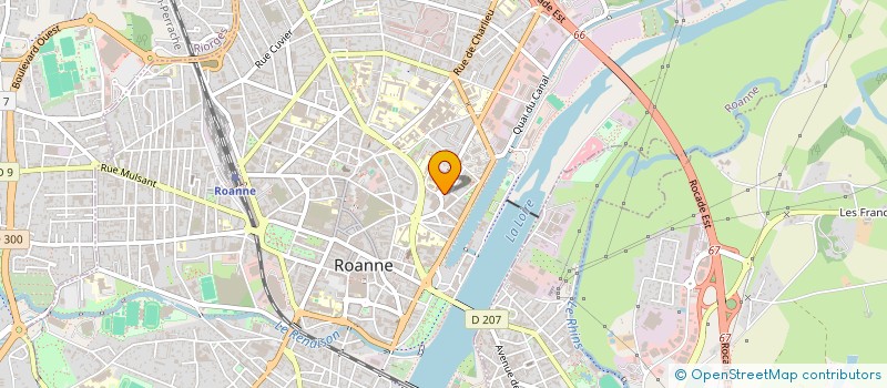 localisation de l'entreprise MONSIEUR RADDY SOUNON  ROANNE