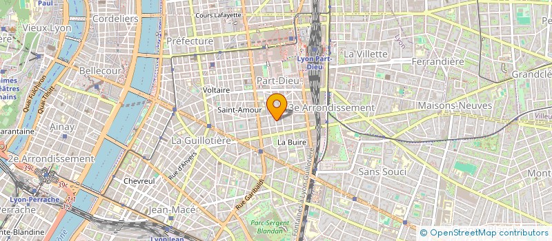 localisation de l'entreprise MONSIEUR RADOUANE CHOUGAR  LYON