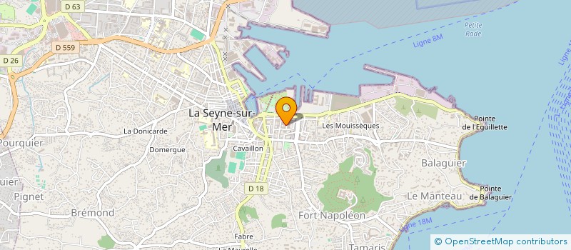 localisation de l'entreprise MONSIEUR RADOUANE GARA  LA SEYNE-SUR-MER