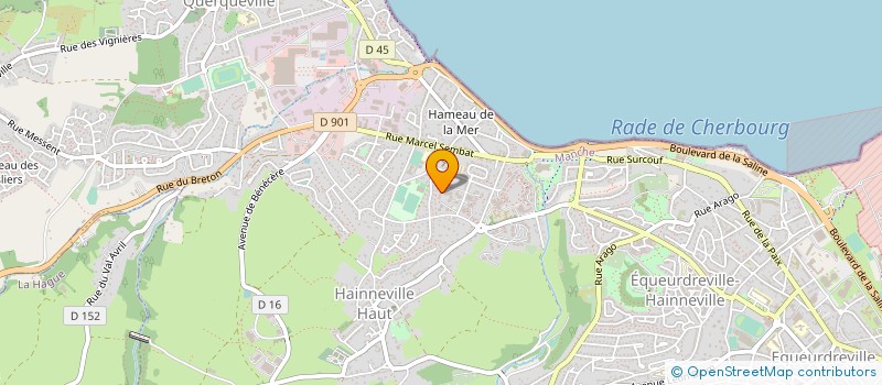 localisation de l'entreprise MONSIEUR RADOVAN ZIBRIK  CHERBOURG-EN-COTENTIN