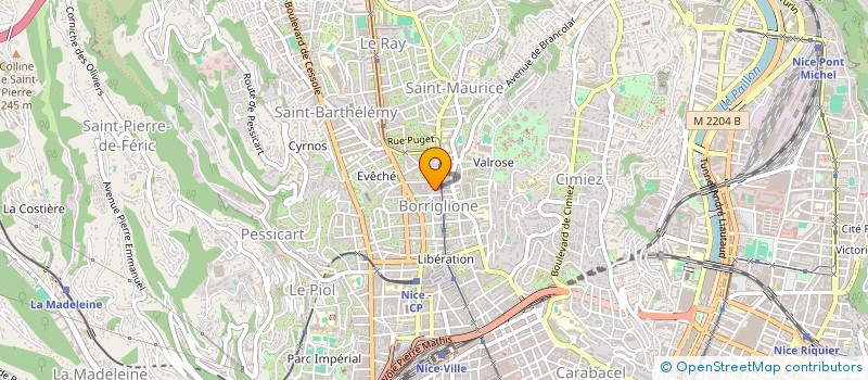 localisation de l'entreprise MONSIEUR RADU BUTUC  NICE