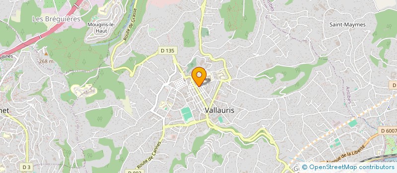 localisation de l'entreprise MONSIEUR RADU DOGARESCU  VALLAURIS