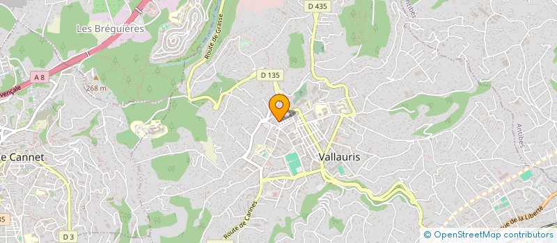 localisation de l'entreprise MONSIEUR RADU GORAN à VALLAURIS
