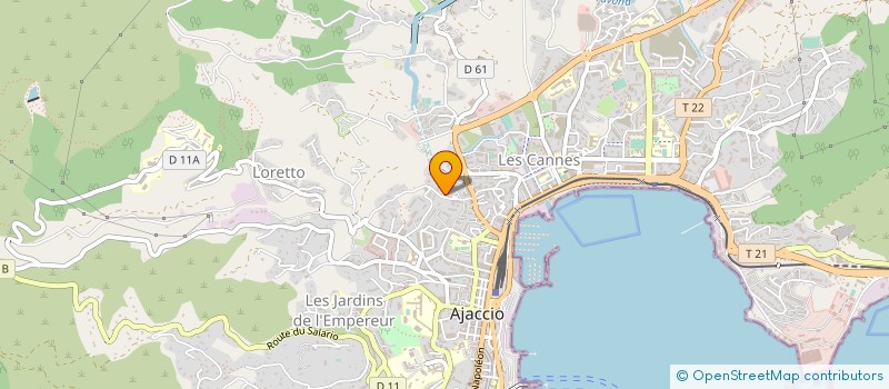 localisation de l'entreprise MONSIEUR RADU STOENESCU à AJACCIO
