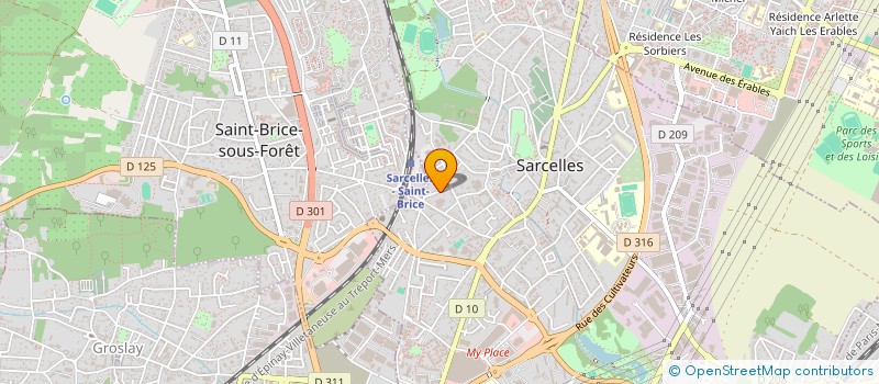 localisation de l'entreprise MONSIEUR RAFAEL DESREUMAUX  SARCELLES