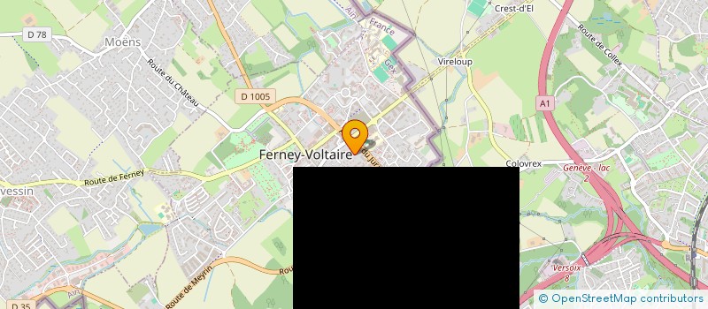 localisation de l'entreprise MONSIEUR RAFAEL DOMINGUEZ à FERNEY-VOLTAIRE