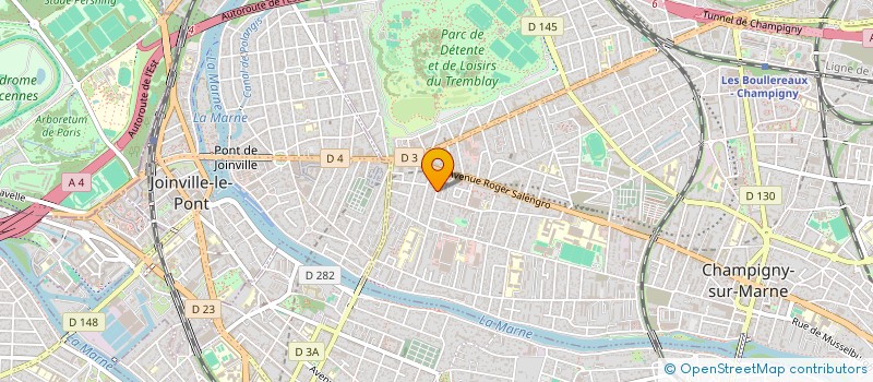 localisation de l'entreprise MONSIEUR RAFAEL SUCIU  CHAMPIGNY-SUR-MARNE