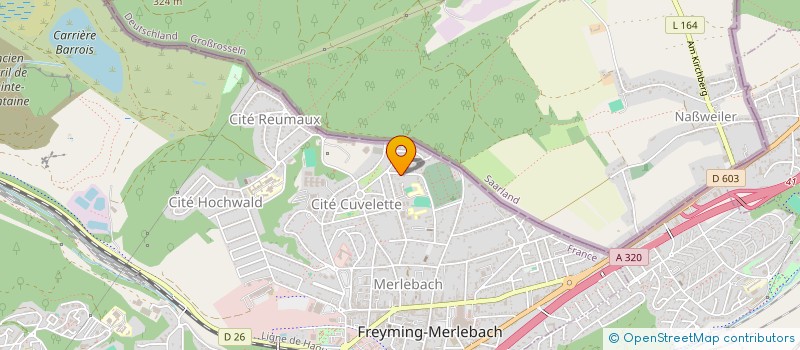 localisation de l'entreprise MONSIEUR RAFFAELE BRUNI  FREYMING-MERLEBACH