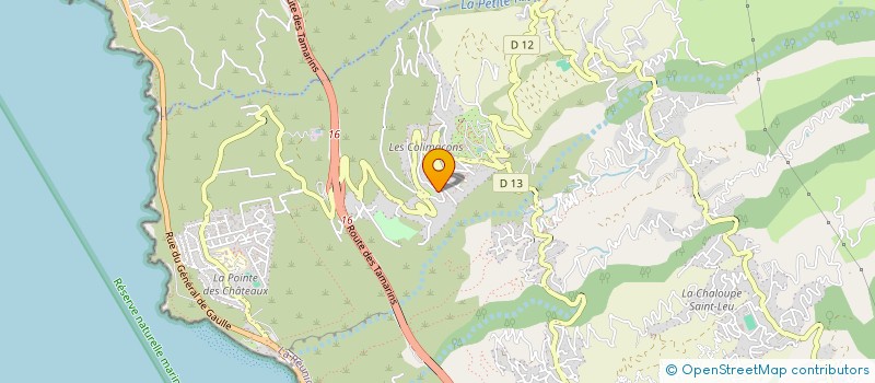 localisation de l'entreprise MONSIEUR RAFFAELE CHIANDUSSI  SAINT-LEU