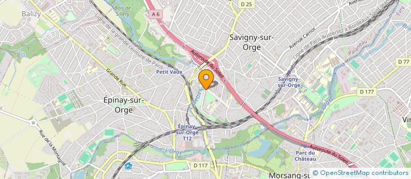 localisation de l'entreprise MONSIEUR RAFIK THAMEUR à SAVIGNY-SUR-ORGE
