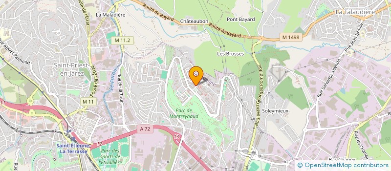 localisation de l'entreprise MONSIEUR RAGUB GYUDYUL  SAINT-ETIENNE