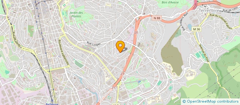 localisation de l'entreprise MONSIEUR RAIBEK ASUEV  SAINT-ETIENNE