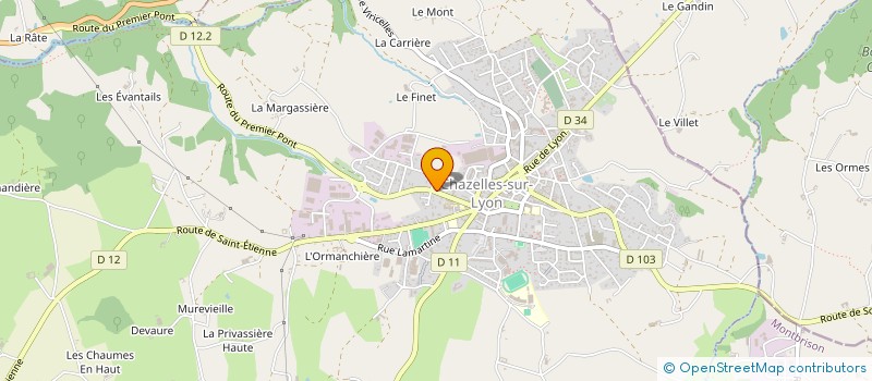 localisation de l'entreprise MONSIEUR RAIF EMINI  CHAZELLES-SUR-LYON