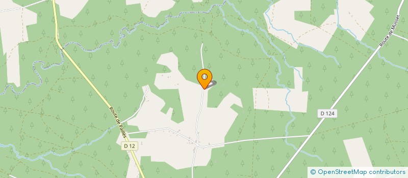 localisation de l'entreprise MONSIEUR RAINHARD WESSELSKY  LERM-ET-MUSSET