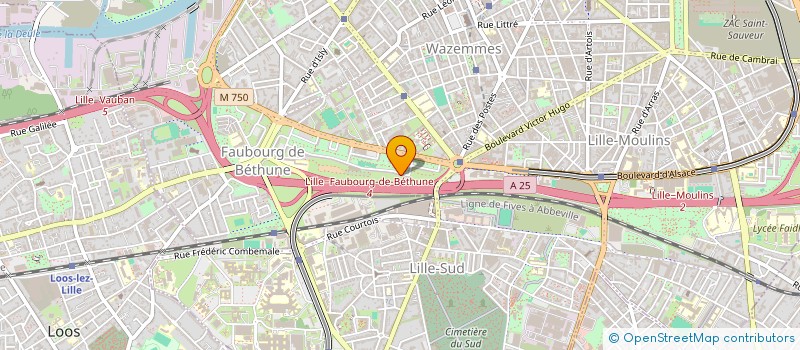 localisation de l'entreprise MONSIEUR RAJKUMAR URUTHTHIRAKUMARAN à LILLE