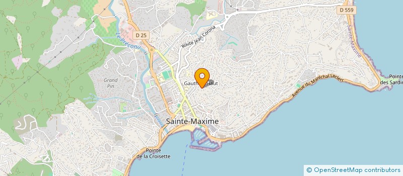 localisation de l'entreprise MONSIEUR RALPH FRANCO à SAINTE-MAXIME