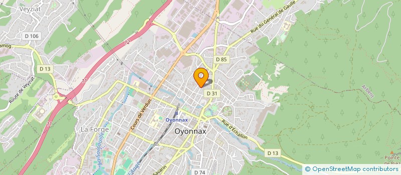 localisation de l'entreprise MONSIEUR RAMAZAN ZORLU à OYONNAX