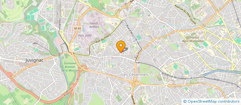 localisation de l'entreprise MONSIEUR RAMIREZ RAMIREZ à MONTPELLIER