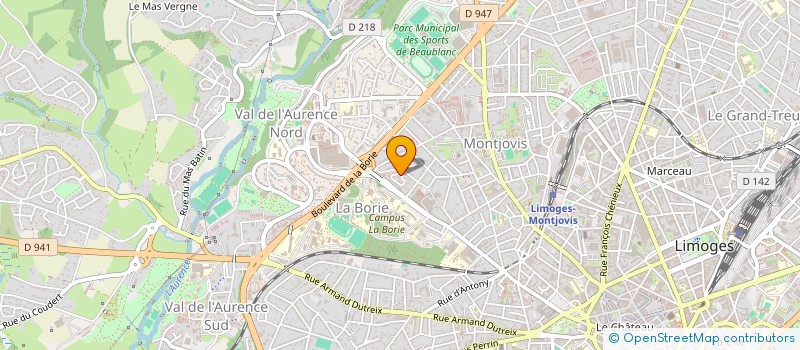 localisation de l'entreprise MONSIEUR RAMZAN BARZANOUKAEV à COURNON-D'AUVERGNE