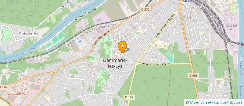 localisation de l'entreprise MONSIEUR RAMZAN MATCHALIKASHVILI à DAMMARIE-LES-LYS