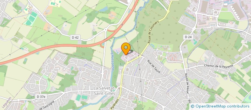 localisation de l'entreprise MONSIEUR RAMZI RIAHI  LA SALVETAT-SAINT-GILLES