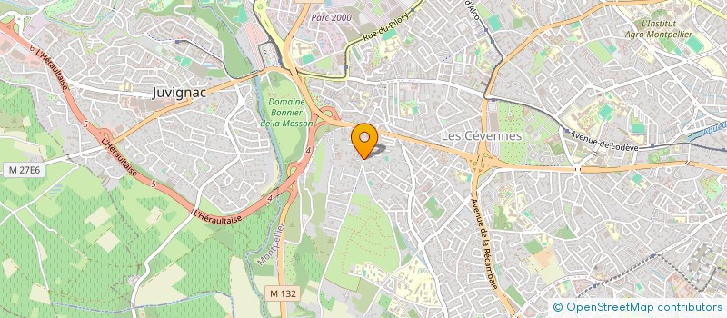 localisation de l'entreprise MONSIEUR RANTO RAZAFINTSALAMA à MONTPELLIER