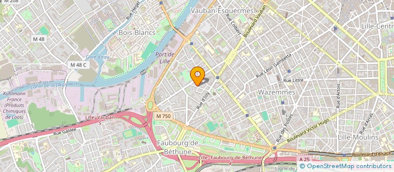 localisation de l'entreprise MONSIEUR RANY HASSAN MOHAMED ALI à LILLE