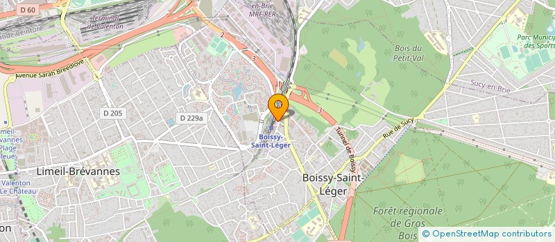 localisation de l'entreprise MONSIEUR RAOUF GARRACH à BOISSY-SAINT-LEGER