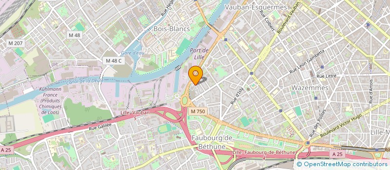 localisation de l'entreprise MONSIEUR RAOUF MOUSSEDAK à LILLE