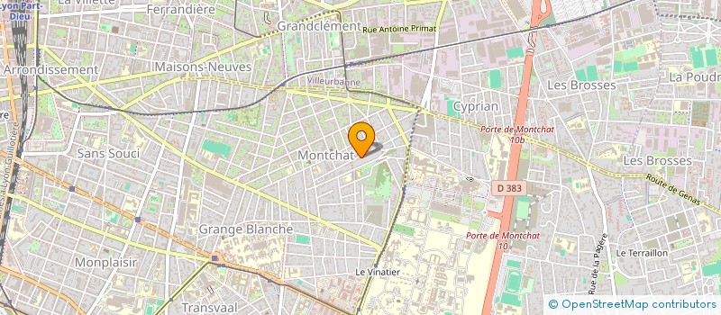 localisation de l'entreprise MONSIEUR RAPHAEL AMSELLEM  LYON