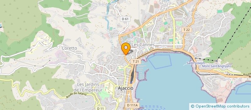 localisation de l'entreprise MONSIEUR RAPHAEL BENHAYOUN  AJACCIO