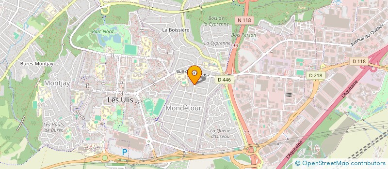 localisation de l'entreprise MONSIEUR RAPHAEL BORDAS à ORSAY