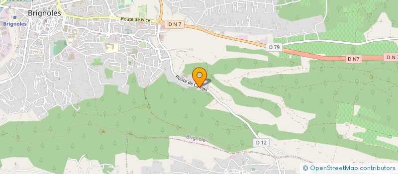 localisation de l'entreprise MONSIEUR RAPHAEL DA SILVA  BRIGNOLES