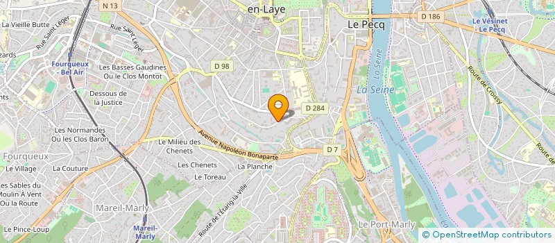 localisation de l'entreprise MONSIEUR RAPHAEL DE LEMOS  SAINT-GERMAIN-EN-LAYE