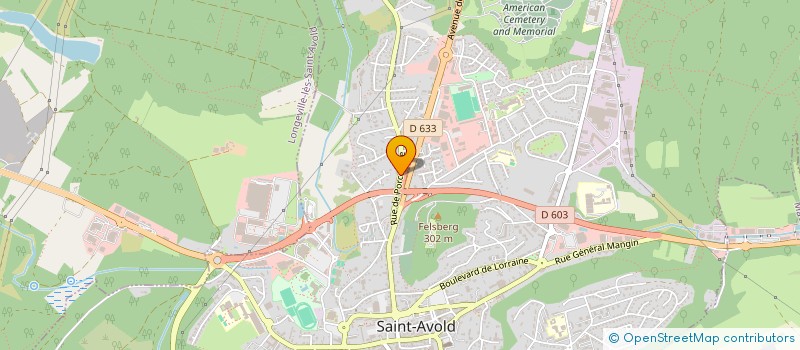 localisation de l'entreprise MONSIEUR RAPHAEL DEHASS  SAINT-AVOLD