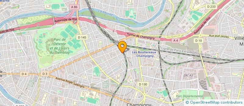 localisation de l'entreprise MONSIEUR RAPHAEL DELLA CROCE DI DOJOLA  CHAMPIGNY-SUR-MARNE