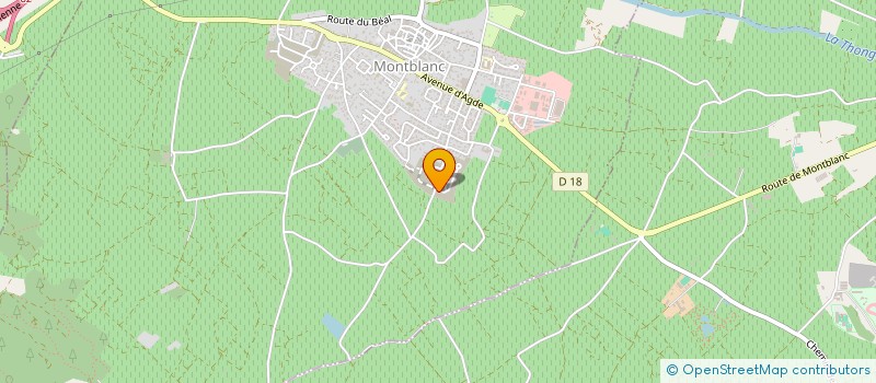 localisation de l'entreprise MONSIEUR RAPHAEL DEMER  MONTBLANC