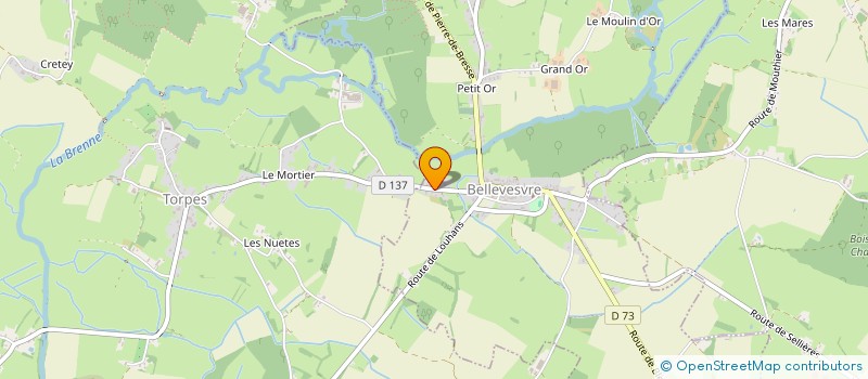 localisation de l'entreprise MONSIEUR RAPHAEL GIBOULOT à BELLEVESVRE