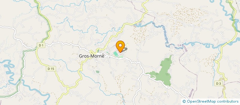 localisation de l'entreprise MONSIEUR RAPHAEL GOYETTE à GROS-MORNE