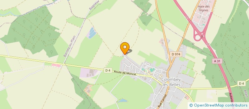 localisation de l'entreprise MONSIEUR RAPHAEL GUINDOS  COLOMBEY-LES-BELLES